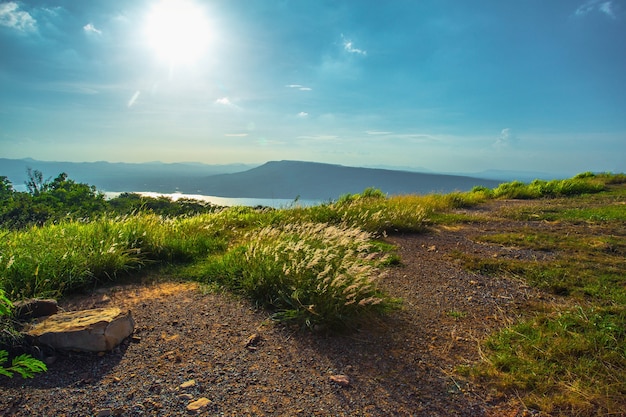 Photo spring landscape in mountains with grass