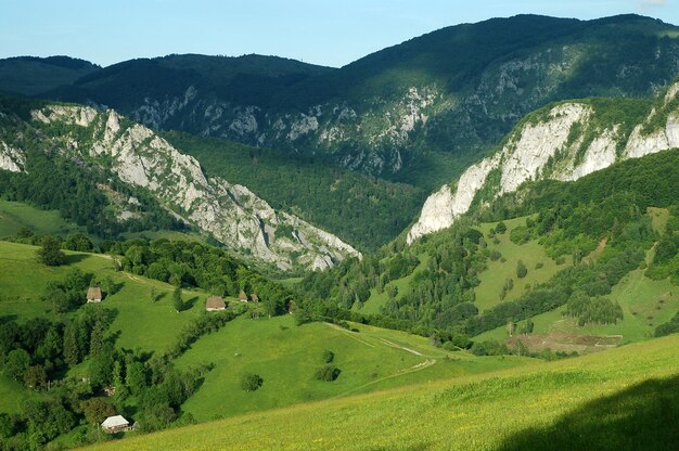 Spring landscape in the mountains