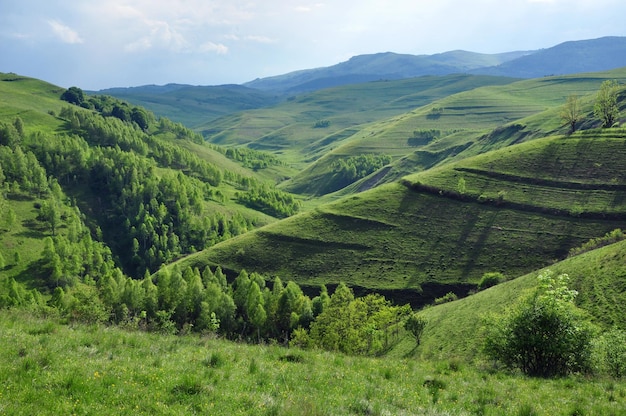 Foto paesaggio primaverile in montagna