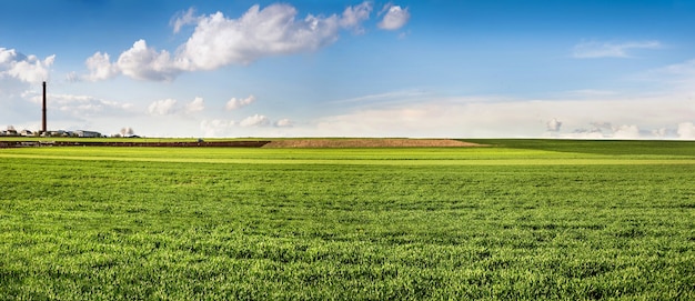 Panorama del paesaggio primaverile del campo verde e delle case all'orizzonte e al cielo