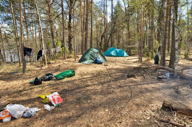 Весенний пейзаж Река в национальном парке