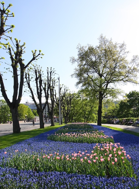 Spring landscape in urban park