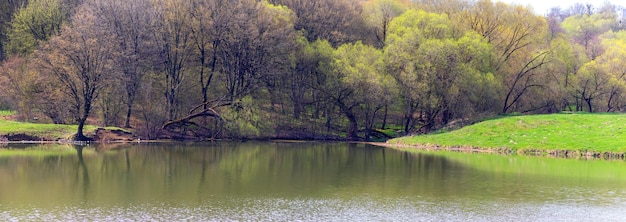 Paesaggio primaverile con foresta vicino al fiume, la prima vegetazione primaverile sugli alberi