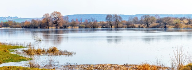 Весенний пейзаж с полноводной рекой и отражением деревьев в воде