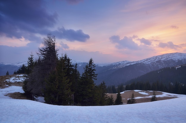 Spring landscape with the last snow. Evening in mountains. Carpathians, Ukraine, Europe