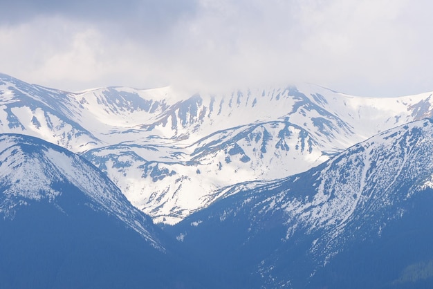 Foto paesaggio primaverile con l'ultima neve