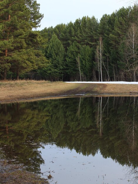 spring landscape with melting snow