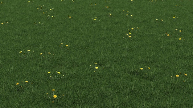 草の中の春の風景黄色のタンポポの花 牧草地の平面図