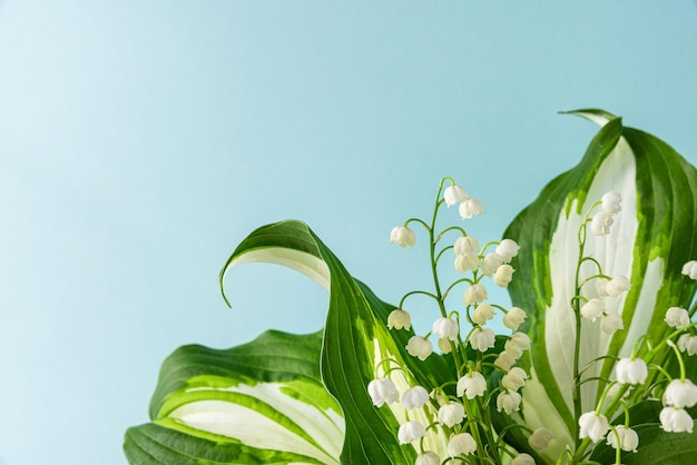 Spring lily of the valley flowers on blue background Wedding or holiday concept