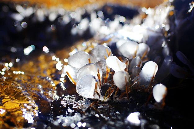 Photo spring melting creek with ice