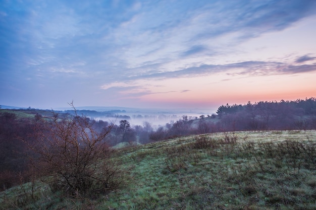 Spring Mist