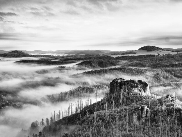 Spring misty landscape morning in beautiful hills of natural park