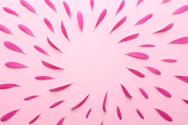 Spring mockup of pink flower petals on a pink background. Top view.