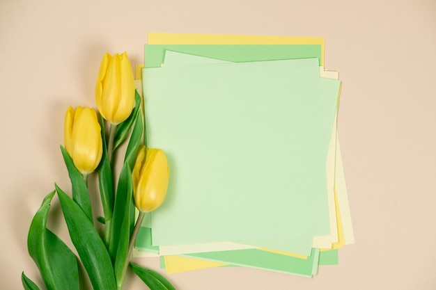 Spring mockup yellow tulips and a place for text