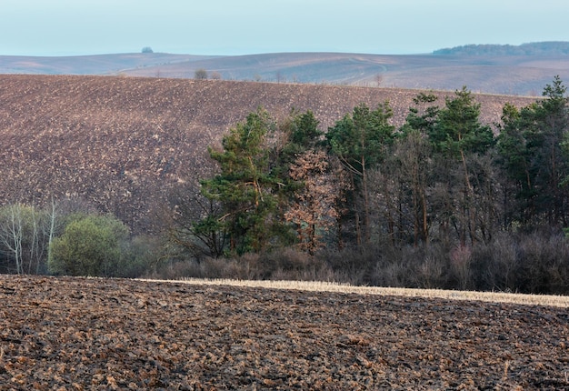 Spring morning arable and growth fields and countryside