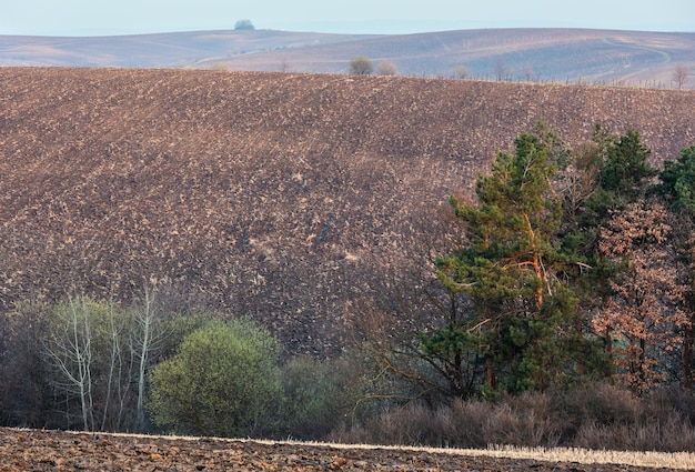 Spring morning arable and growth fields and countryside