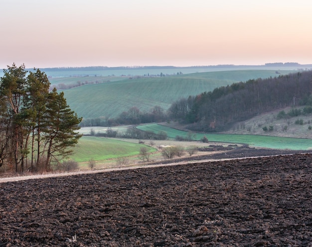 Photo spring morning arable and growth fields and countryside