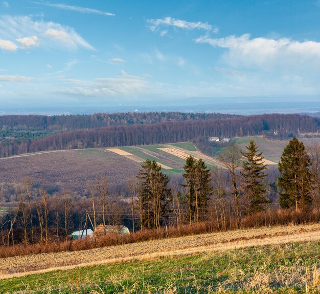 Spring morning arable and growth fields and countryside