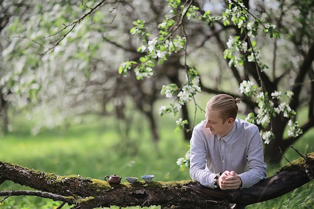 spring morning in asia, traditional tea ceremony in china aroma sakura