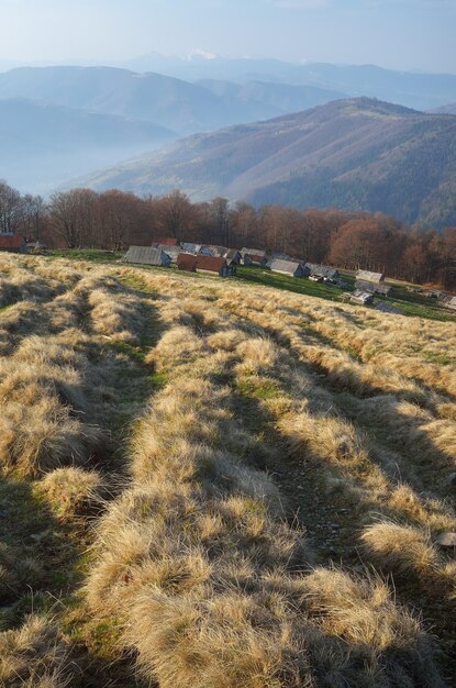 사진 산에서 봄 아침입니다. carpathians, 우크라이나, 유럽