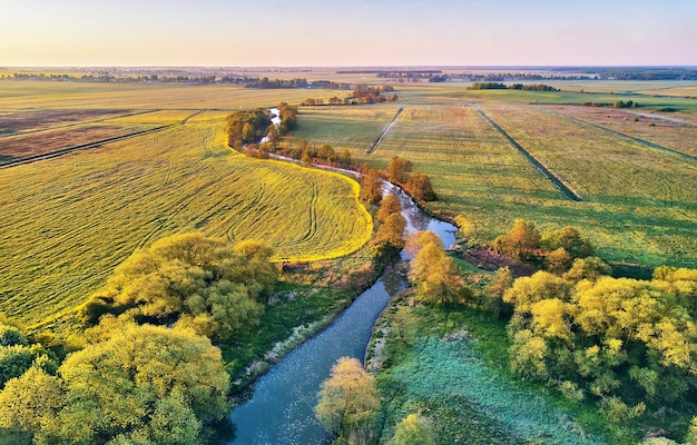 Foto paesaggio mattutino primaverile fiume calmo in prati fioriti veduta aerea rurale dall'alto campi agricoli di colza verde giallo colza e scena di fiori di tarassaco