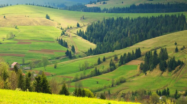 Spring morning rural landscape in the carpathian mountains the suns rays illuminate the colorful hills