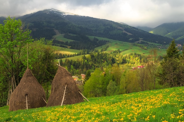 카르파티아 산맥에 두 개의 건초더미가 있는 봄 아침 시골 풍경