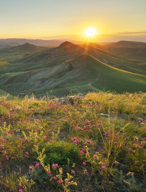 Spring in mountain at the sunset