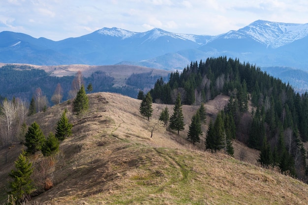 Spring in the mountains