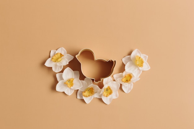 Spring Narcissus, bird Easter form for baking. Beige background. 