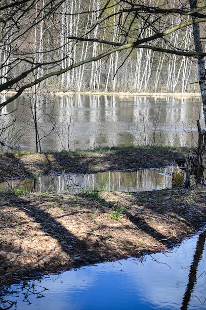 Spring in the national park of central Russia