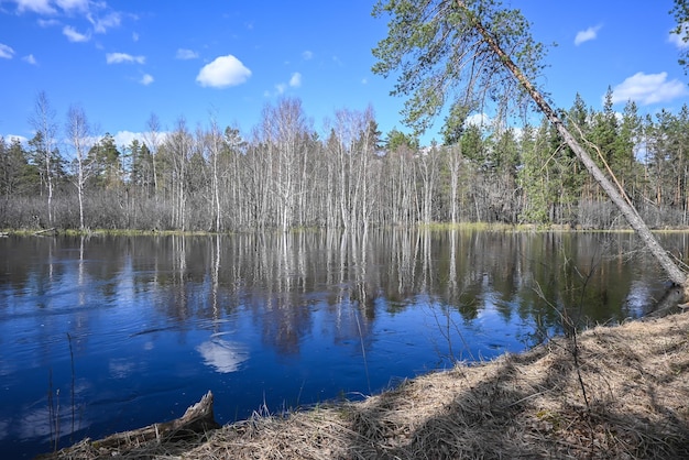 Spring in the national park