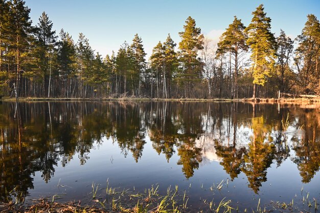 Spring in the national park