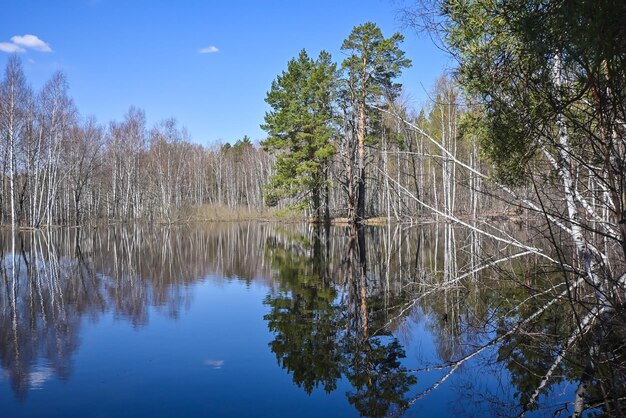 Spring in the national park