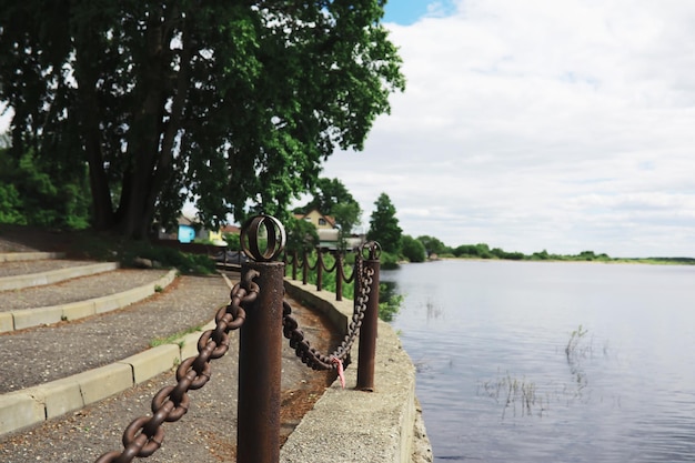 Весенняя природа фон Зелень деревья и травы солнечным весенним утром Лесной пейзаж