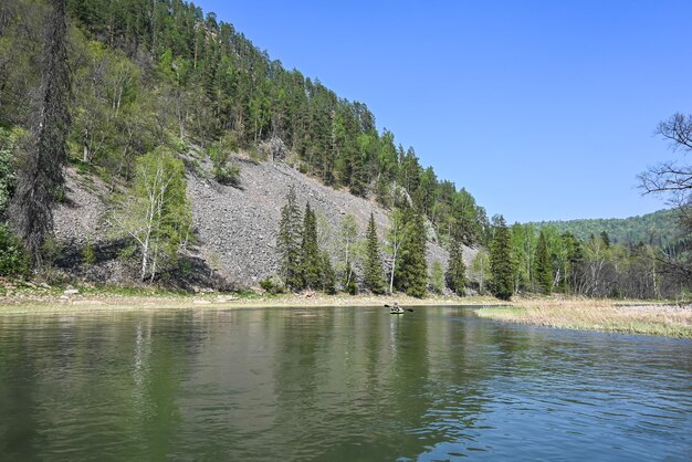 Spring in the nature park