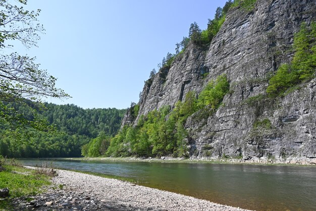 Spring in the nature park