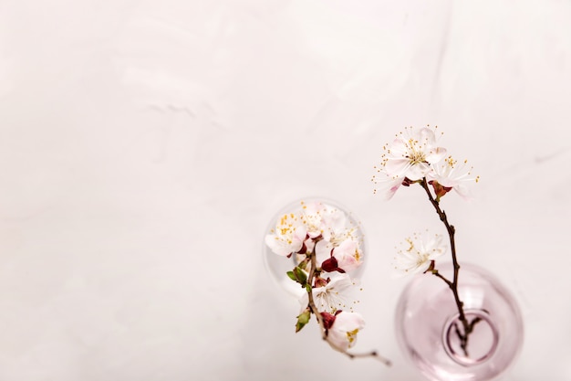 Photo spring neutral light minimalistic background with white flowers on the branches with copyspace