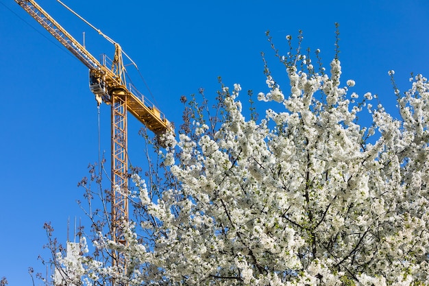 Весна и концепция строительства нового дома. Строительный кран с весенними цветущими деревьями и голубым небом в солнечный день