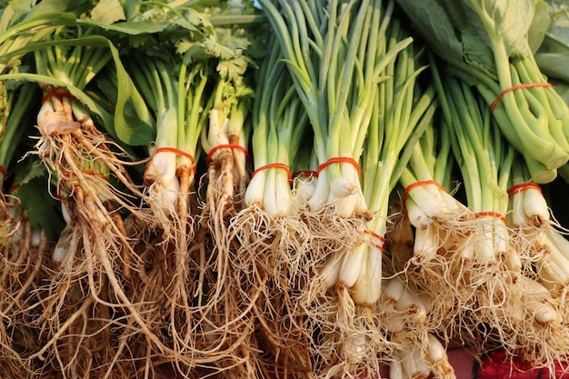 Spring onion and coriander at market