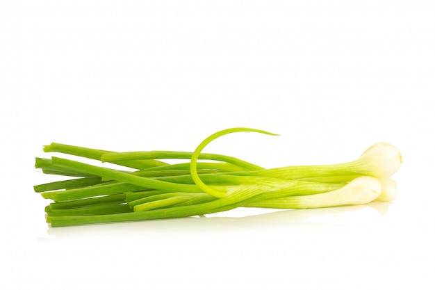 Spring onion isolated on the white background