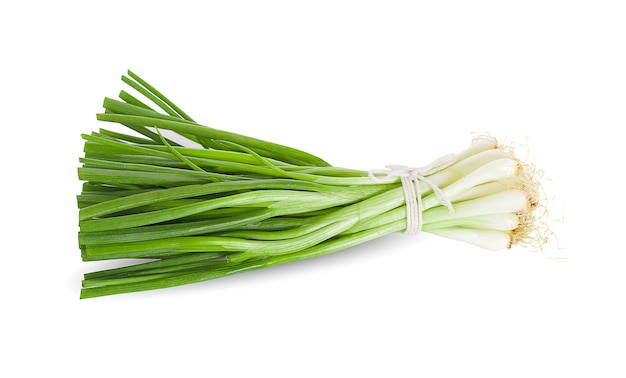 Spring onion isolated on white surface