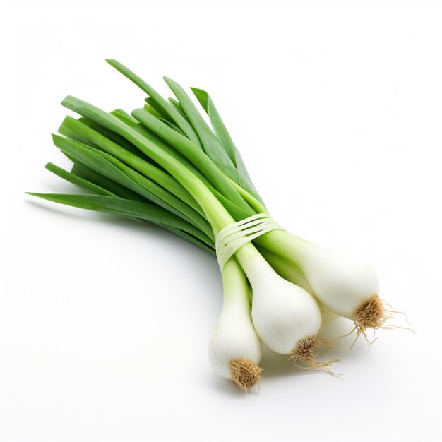 Spring onion with white background high quality ult