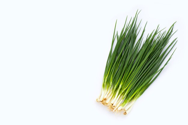 Spring onions on white background