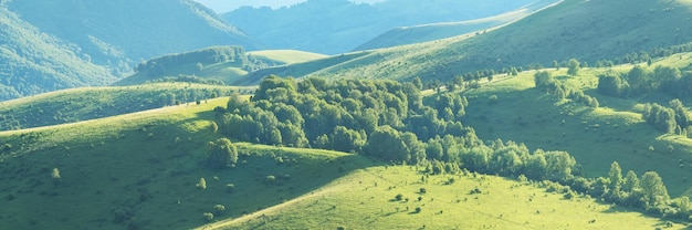 Spring panoramic view green meadow