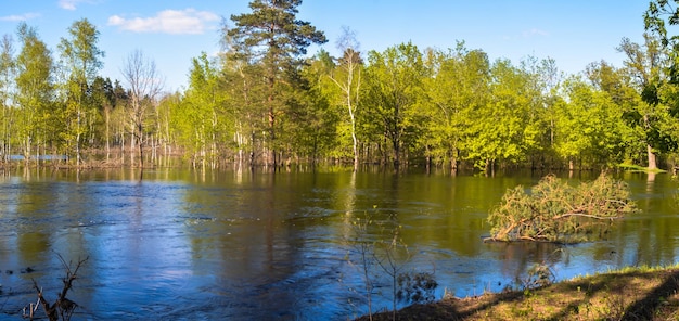 Весенний панорамный водный пейзаж Центральной России