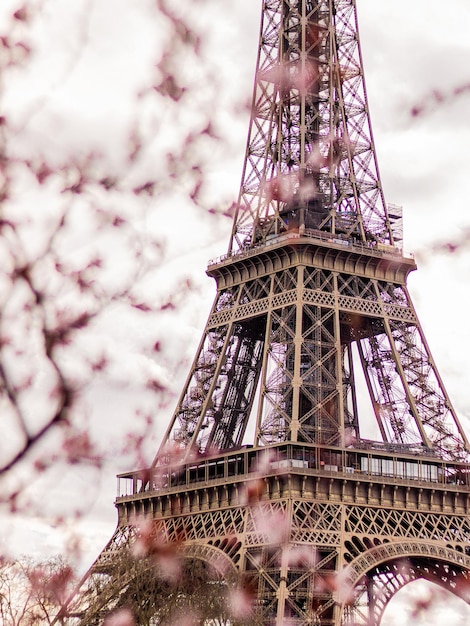 Spring in paris