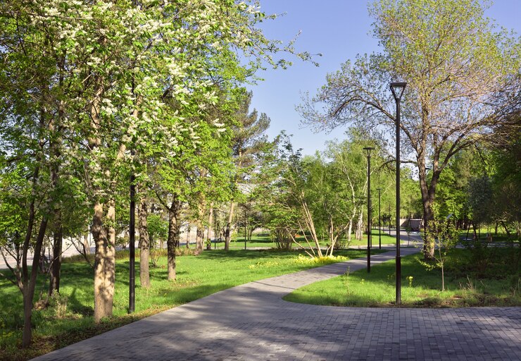 Photo spring park on the embankment