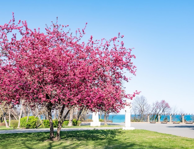 Burgas 불가리아에서 바다가 보이는 봄 공원