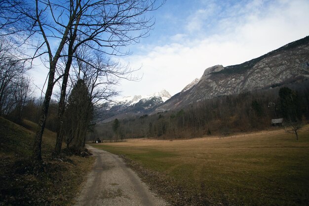 Spring pastoral with path forest blue sky small houses and mountain peaks afternoon slovenia